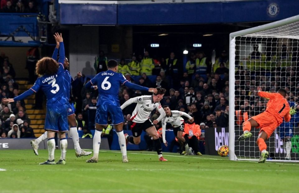 篮球发展与城市文化的关系